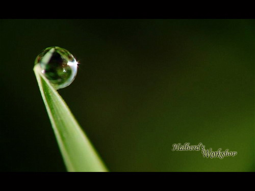 20110830105254406.jpg
