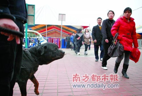 广东佛山、南海、粤运汽车站有望网上订票