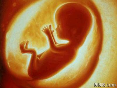 怀孕7个月胎儿大小介绍