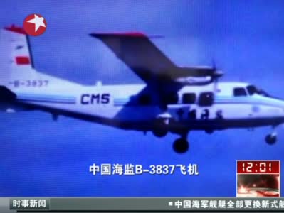 飞机降落的视频日本 1609127311.jpg