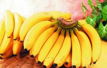 怀孕期间孕妇可以吃香蕉吗?