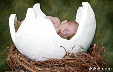 胎动看男女经验分享