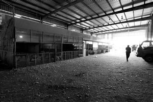 宁波幼儿园因禽流感修改食谱:取消禽类食物|禽