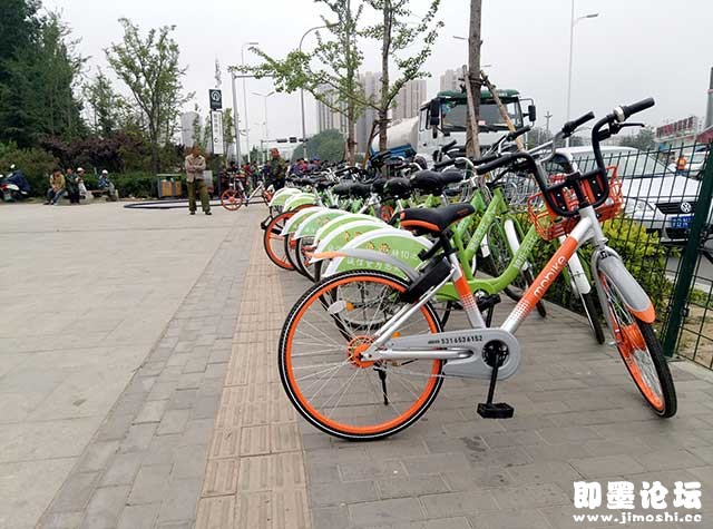 青岛:共享单车频被投诉,消保委倡导文明绿色骑