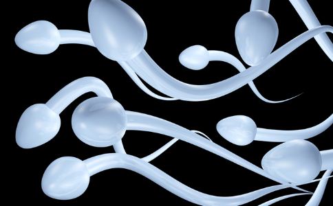男人精子存活率怎么看 如何提高精子质量
