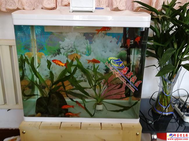 便宜又好用的鱼缸灯 1231241623.jpg