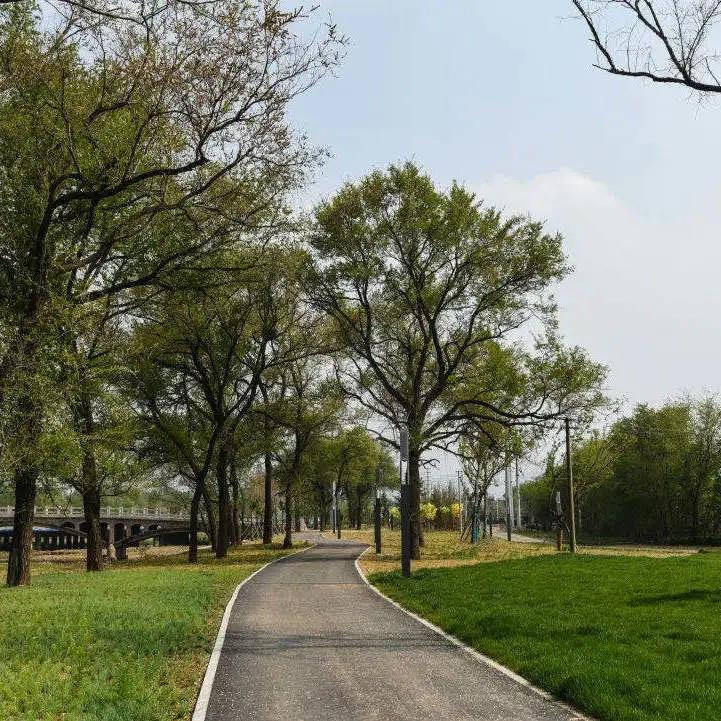 致龙山街道辖区居民朋友的一封信 - 即墨信息港