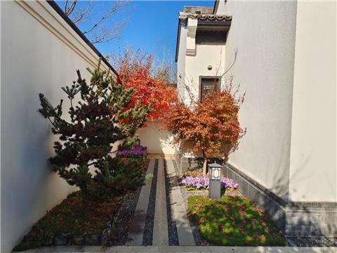 天泰桃花源合院别墅90平精装带院子300万毛坯28